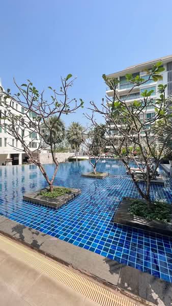 The Sanctuary Wongamat : เดอะ แซงชัวรี วงศ์อมาตย์, ชลบุรี, ซอยพัทยา-นาเกลือ 12, นาเกลือ, บางละมุง, ชลบุรี, 62 ตร.ม., คอนโด ขาย, โดย วนัชภรณ์ แก้วลาน, 500167536 - DDproperty.com