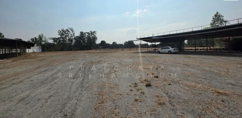 หมอนนาง พนัสนิคม ชลบุรี, ชลบุรี, หมอนนาง ซอย6, หมอนนาง, พนัสนิคม, ชลบุรี, 24,000 ตร.ม., ที่ดิน ขาย, โดย Pratchaya Srikhamchum, 500167617 - DDproperty.com