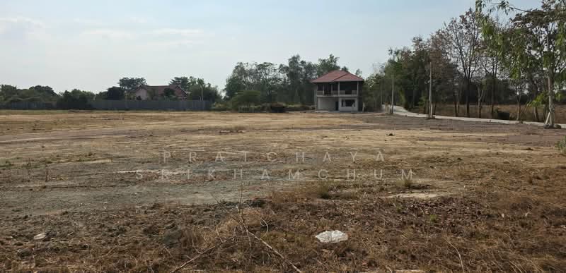 หมอนนาง พนัสนิคม ชลบุรี, Chon Buri (Pattaya), หมอนนาง ซอย6, Mon Nang, Phanat Nikhom, Chon Buri (Pattaya), , 24,000 sqm, Land For Sale, by Pratchaya Srikhamchum, 500167617 - DDproperty.com