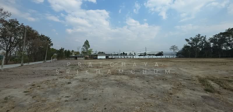 หมอนนาง พนัสนิคม ชลบุรี, Chon Buri (Pattaya), หมอนนาง ซอย6, Mon Nang, Phanat Nikhom, Chon Buri (Pattaya), , 24,000 sqm, Land For Sale, by Pratchaya Srikhamchum, 500167617 - DDproperty.com