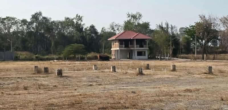 หมอนนาง พนัสนิคม ชลบุรี, Chon Buri (Pattaya), หมอนนาง ซอย6, Mon Nang, Phanat Nikhom, Chon Buri (Pattaya), , 24,000 sqm, Land For Sale, by Pratchaya Srikhamchum, 500167617 - DDproperty.com