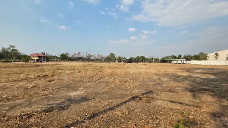 หมอนนาง พนัสนิคม ชลบุรี, Chon Buri (Pattaya), หมอนนาง ซอย6, Mon Nang, Phanat Nikhom, Chon Buri (Pattaya), , 24,000 sqm, Land For Sale, by Pratchaya Srikhamchum, 500167617 - DDproperty.com
