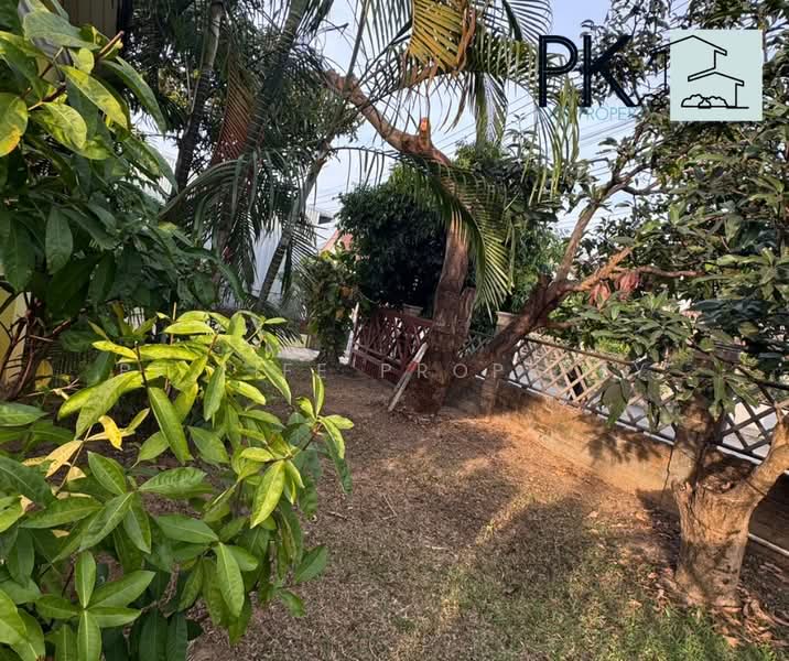 8R0850 This house for rent 3 bedroom 2 bathroom 40,000/month at chalong, Phuket, Chalong, Muang Phuket, Phuket, 3 Bedrooms, 130 sqm, Single Detached House For Rent, by PK LIFE Property, 500167625 - DDproperty.com