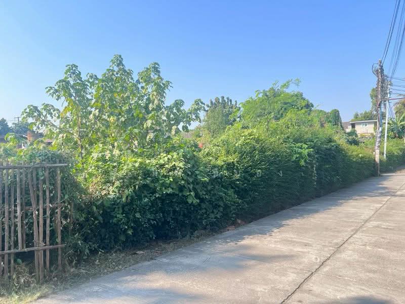 ขาย ที่ดิน โซนสารภี, เชียงใหม่, หนองผึ้ง, สารภี, เชียงใหม่, 1,180 ตร.ม., ที่ดิน ขาย, โดย อามร ยืนยง, 500167644 - DDproperty.com