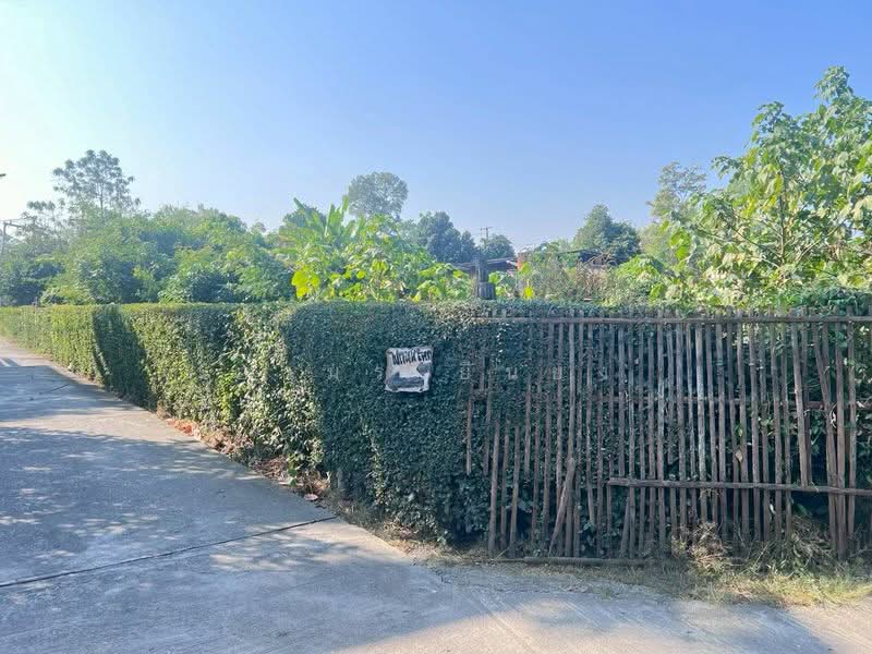 ขาย ที่ดิน โซนสารภี, เชียงใหม่, หนองผึ้ง, สารภี, เชียงใหม่, 1,180 ตร.ม., ที่ดิน ขาย, โดย อามร ยืนยง, 500167644 - DDproperty.com