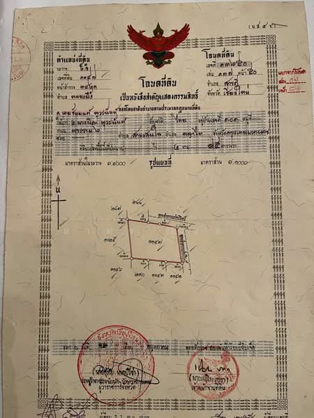 ขาย ที่ดิน โซนสารภี, เชียงใหม่, หนองผึ้ง, สารภี, เชียงใหม่, 1,180 ตร.ม., ที่ดิน ขาย, โดย อามร ยืนยง, 500167644 - DDproperty.com