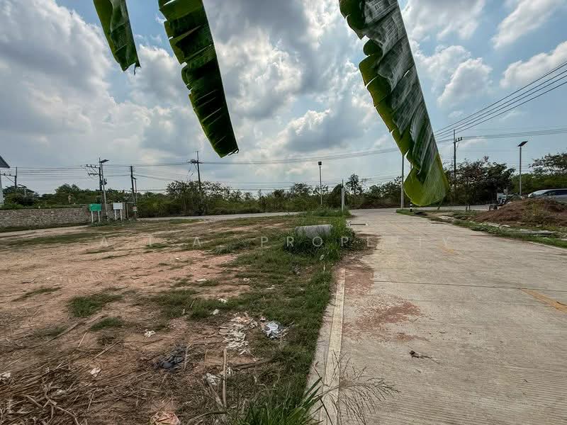 ขายที่ดินบางพระ ศรีราชา ชลบุรี, Chon Buri (Pattaya), บ้านเอาร์ 9/2, Bang Phra, Si Racha, Chon Buri (Pattaya), , 720 sqm, Land For Sale, by A.T.A. Property, 500167658 - DDproperty.com
