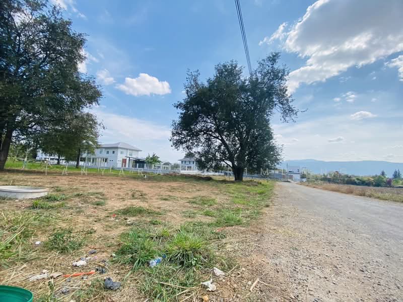ปากช่อง, Nakhon Ratchasima, Pong Ta Long, Pak Chong, Nakhon Ratchasima, , 1,688 sqm, Land For Rent, by Tanyaras Srimuang, 500167674 - DDproperty.com
