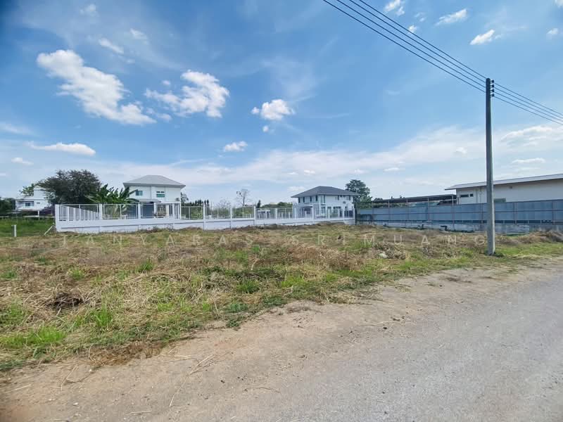 ปากช่อง, Nakhon Ratchasima, Pong Ta Long, Pak Chong, Nakhon Ratchasima, , 1,688 sqm, Land For Rent, by Tanyaras Srimuang, 500167674 - DDproperty.com