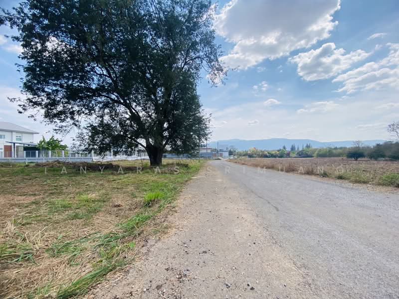 ปากช่อง, Nakhon Ratchasima, Pong Ta Long, Pak Chong, Nakhon Ratchasima, , 1,688 sqm, Land For Rent, by Tanyaras Srimuang, 500167674 - DDproperty.com