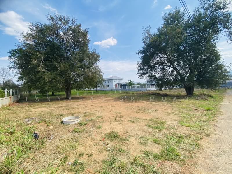 ปากช่อง, Nakhon Ratchasima, Pong Ta Long, Pak Chong, Nakhon Ratchasima, , 1,688 sqm, Land For Rent, by Tanyaras Srimuang, 500167674 - DDproperty.com