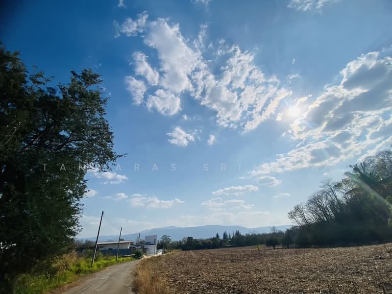 ปากช่อง, Nakhon Ratchasima, Pong Ta Long, Pak Chong, Nakhon Ratchasima, , 1,688 sqm, Land For Rent, by Tanyaras Srimuang, 500167674 - DDproperty.com