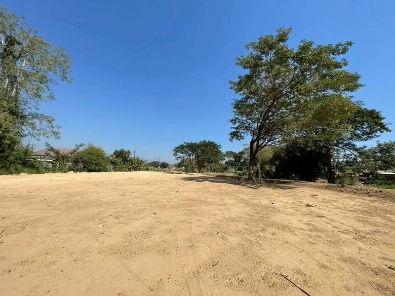 ขาย - ขาย ที่ดิน โซนสันทราย, เชียงใหม่