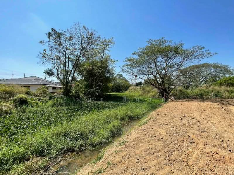 ขาย ที่ดิน โซนสันทราย, Chiang Mai, San Na Moeng, San Sai, Chiang Mai, , 1,744 sqm, Land For Sale, by Armon Yuenyong, 500167712 - DDproperty.com