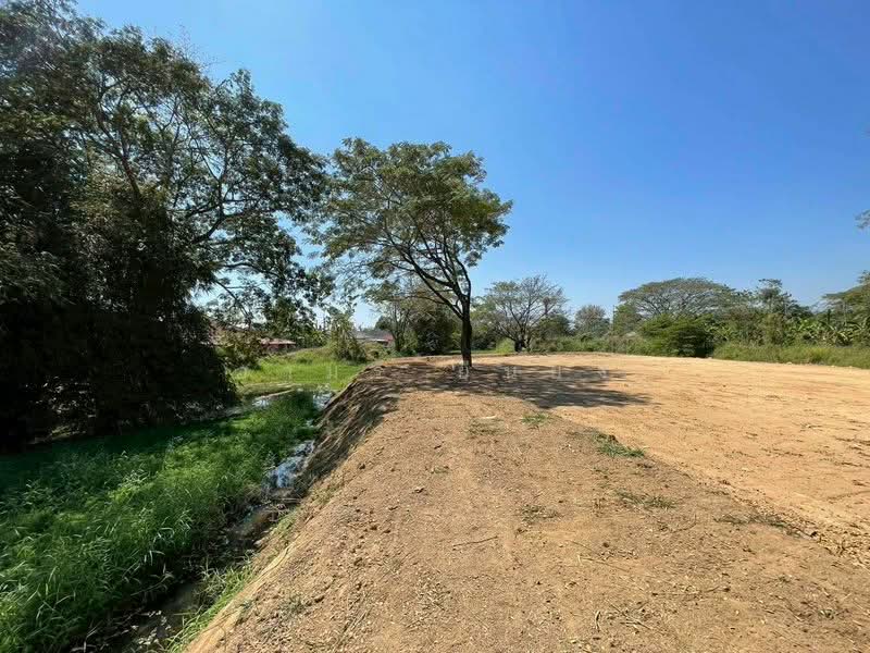 ขาย ที่ดิน โซนสันทราย, Chiang Mai, San Na Moeng, San Sai, Chiang Mai, , 1,744 sqm, Land For Sale, by Armon Yuenyong, 500167712 - DDproperty.com