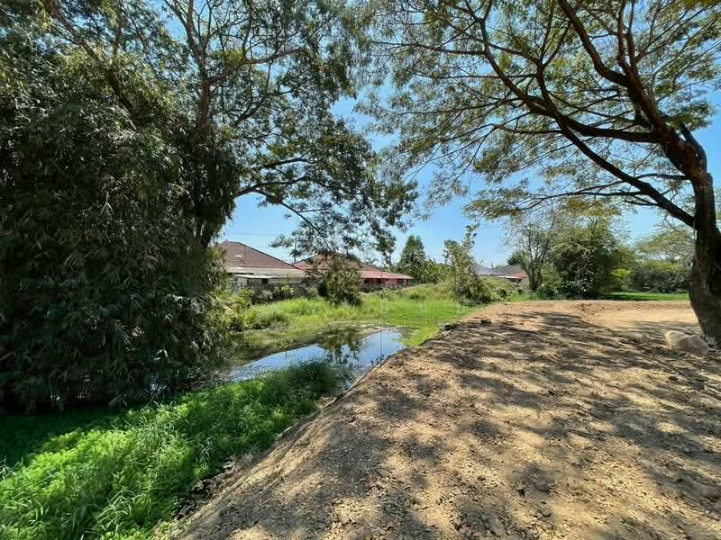 ขาย ที่ดิน โซนสันทราย, Chiang Mai, San Na Moeng, San Sai, Chiang Mai, , 1,744 sqm, Land For Sale, by Armon Yuenyong, 500167712 - DDproperty.com