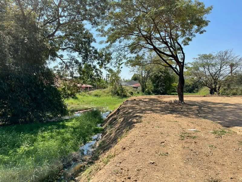 ขาย ที่ดิน โซนสันทราย, Chiang Mai, San Na Moeng, San Sai, Chiang Mai, , 1,744 sqm, Land For Sale, by Armon Yuenyong, 500167712 - DDproperty.com