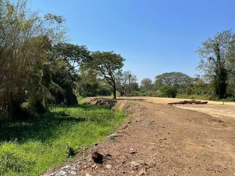 ขาย ที่ดิน โซนสันทราย, Chiang Mai, San Na Moeng, San Sai, Chiang Mai, , 1,744 sqm, Land For Sale, by Armon Yuenyong, 500167712 - DDproperty.com