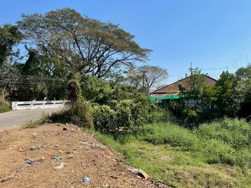 ขาย ที่ดิน โซนสันทราย, Chiang Mai, San Na Moeng, San Sai, Chiang Mai, , 1,744 sqm, Land For Sale, by Armon Yuenyong, 500167712 - DDproperty.com