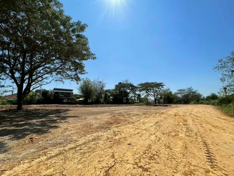 ขาย ที่ดิน โซนสันทราย, Chiang Mai, San Na Moeng, San Sai, Chiang Mai, , 1,744 sqm, Land For Sale, by Armon Yuenyong, 500167712 - DDproperty.com