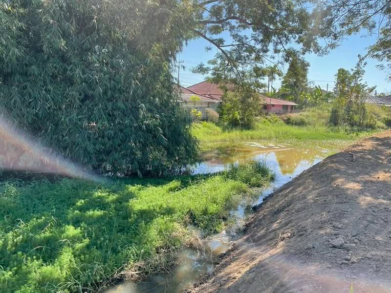 ขาย ที่ดิน โซนสันทราย, Chiang Mai, San Na Moeng, San Sai, Chiang Mai, , 1,744 sqm, Land For Sale, by Armon Yuenyong, 500167712 - DDproperty.com