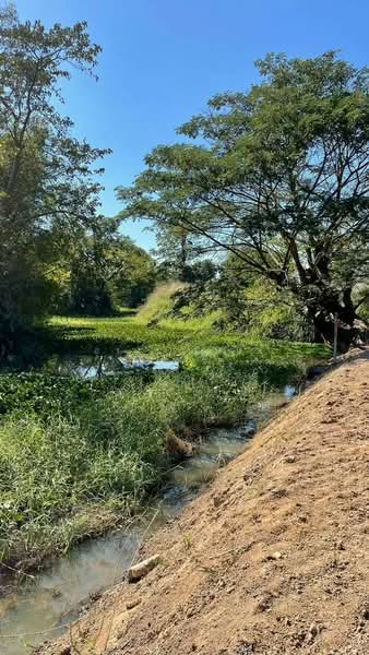 ขาย ที่ดิน โซนสันทราย, Chiang Mai, San Na Moeng, San Sai, Chiang Mai, , 1,744 sqm, Land For Sale, by Armon Yuenyong, 500167712 - DDproperty.com