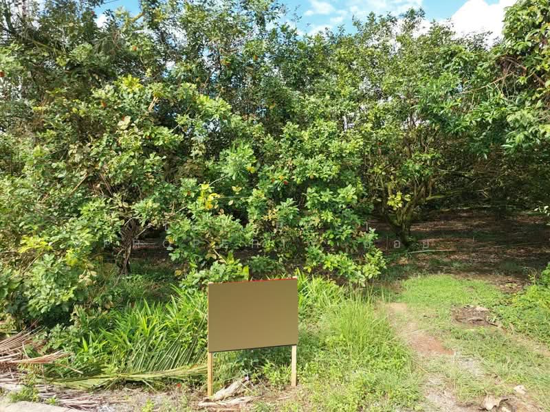 For Sale - ที่ดินชะอวด นครศรีธรรมราช, Nakhon Si Thammarat