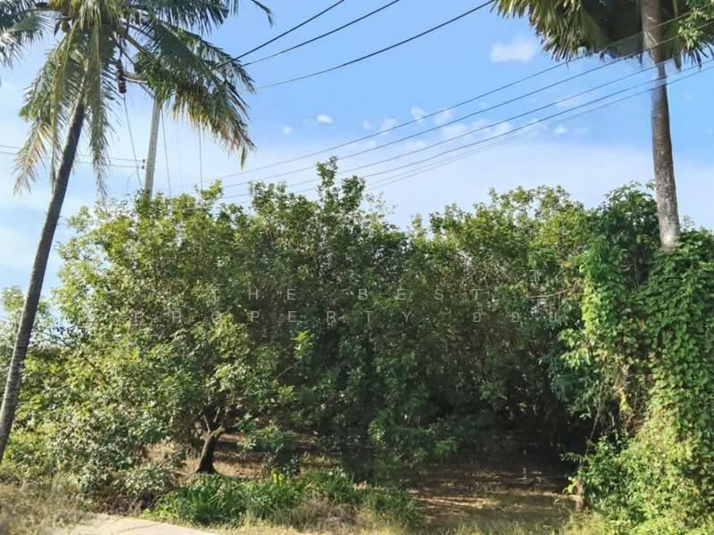 For Sale - ที่ดินชะอวด นครศรีธรรมราช, Nakhon Si Thammarat