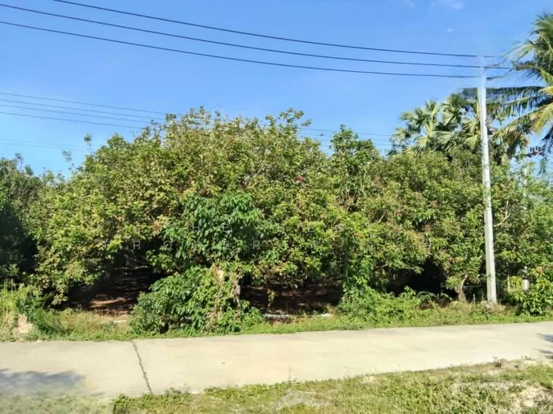 For Sale - ที่ดินชะอวด นครศรีธรรมราช, Nakhon Si Thammarat