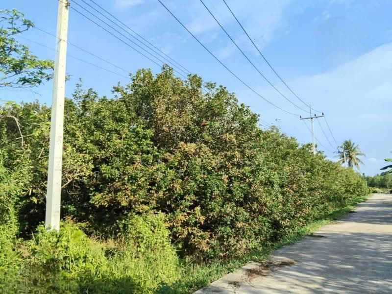 For Sale - ที่ดินชะอวด นครศรีธรรมราช, Nakhon Si Thammarat