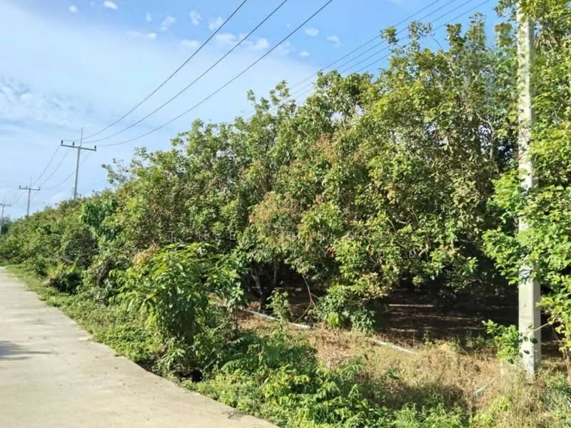 For Sale - ที่ดินชะอวด นครศรีธรรมราช, Nakhon Si Thammarat