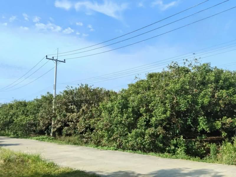 For Sale - ที่ดินชะอวด นครศรีธรรมราช, Nakhon Si Thammarat