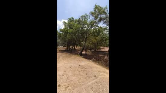 ที่ดินทำเลทองไม่ไกลจากหาดกมลา, ภูเก็ต, กมลา, กะทู้, ภูเก็ต, 36,016 ตร.ม., ที่ดิน ขาย, โดย Parinda Sane, 500167768 - DDproperty.com