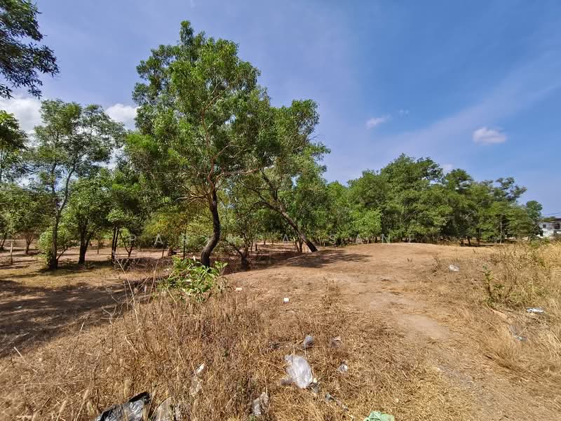 Last beautiful land plot in Kamala,Phuket, Phuket, Kammala, Kathu, Phuket, , 36,016 sqm, Land For Sale, by Parinda Sane, 500167768 - DDproperty.com