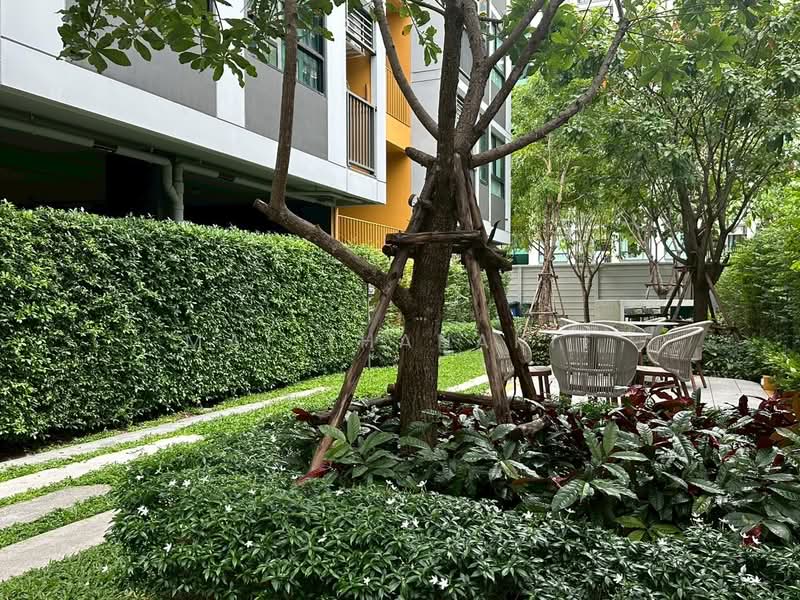 The Muve Bangkhae : เดอะ มูฟ บางแค, กรุงเทพ, 916 ซอย ประสาน, บางแคเหนือ, บางแค, กรุงเทพ, 25 ตร.ม., คอนโด ให้เช่า, โดย Mai Thanakit, 500167858 - DDproperty.com