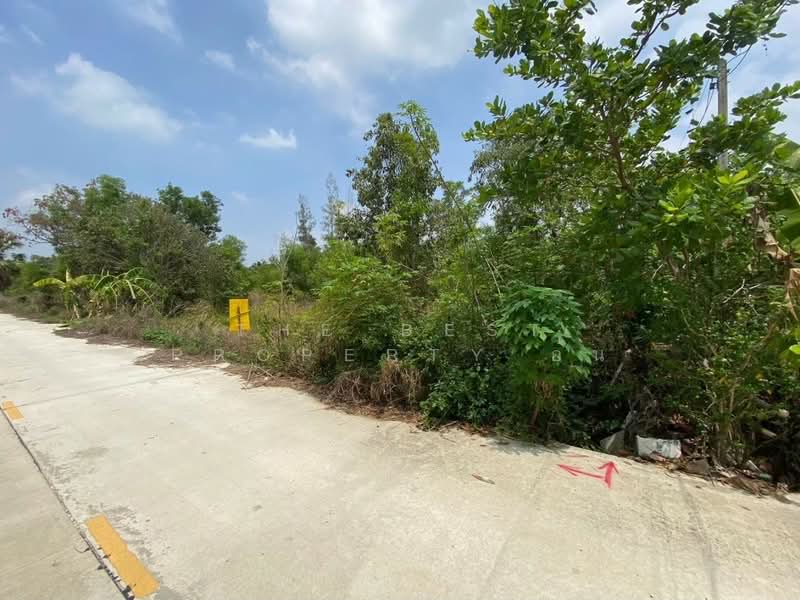 ที่ดินหนองเสือ ปทุมธานี, ปทุมธานี, ศาลาครุ, หนองเสือ, ปทุมธานี, 960 ตร.ม., ที่ดิน ขาย, โดย The Best Property อ้น, 500167910 - DDproperty.com