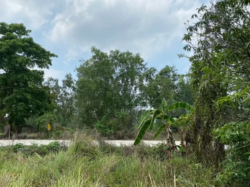 ที่ดินหนองเสือ ปทุมธานี, Pathum Thani, Sala Khru, Nong Sua, Pathum Thani, , 960 sqm, Land For Sale, by The Best Property อ้น, 500167910 - DDproperty.com