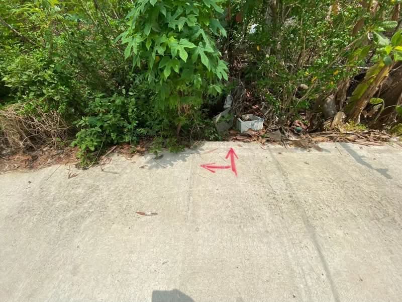 ที่ดินหนองเสือ ปทุมธานี, ปทุมธานี, ศาลาครุ, หนองเสือ, ปทุมธานี, 960 ตร.ม., ที่ดิน ขาย, โดย The Best Property อ้น, 500167910 - DDproperty.com