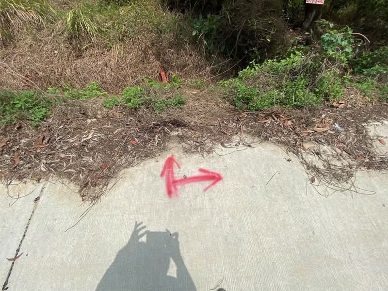 ที่ดินหนองเสือ ปทุมธานี, Pathum Thani, Sala Khru, Nong Sua, Pathum Thani, , 960 sqm, Land For Sale, by The Best Property อ้น, 500167910 - DDproperty.com