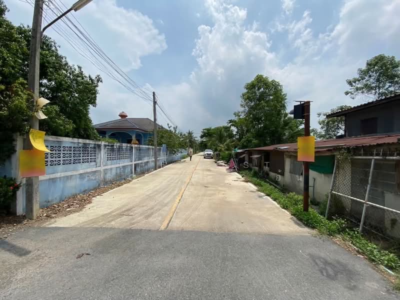 ที่ดินหนองเสือ ปทุมธานี, ปทุมธานี, ศาลาครุ, หนองเสือ, ปทุมธานี, 960 ตร.ม., ที่ดิน ขาย, โดย The Best Property อ้น, 500167910 - DDproperty.com