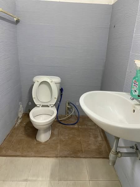 ไม่พบโครงการ, Bangkok, เอกชัย46, Bang Bon, Bang Bon, Bangkok, 2 Bedrooms, 170 sqm, Townhouse For Rent, by กุลจิรา อภัยโส, 500167931 - DDproperty.com