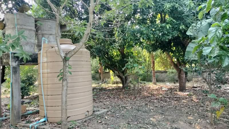 บ้านเดี่ยวพร้อมที่ดินบ้านกร่าง พิษณุโลก, Phitsanulok, Ban Krang, Muang Phitsanulok, Phitsanulok, 3 Bedrooms, 150 sqm, Single Detached House For Sale, by The Best Property ณิชา, 500167978 - DDproperty.com