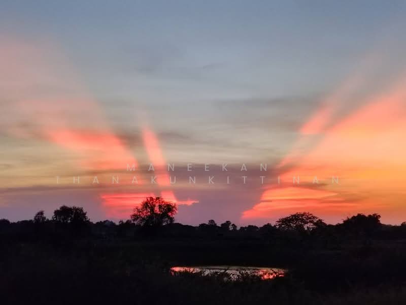 ขาย - ขายดินติดวิวน้ำเมืองหนองคาย, หนองคาย