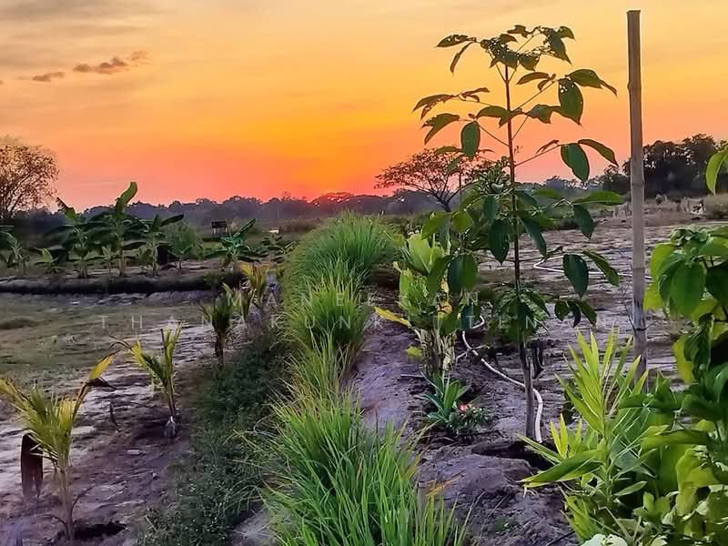 Land for sale in Nongkhai city., Nong Khai, ใกล้ทางหลวงแผ่นดิน 247 ,1 กม, Wat That, Muang Nong Khai, Nong Khai, , 3,472 sqm, Land For Sale, by Maneekan Thanakunkittinan, 500168020 - DDproperty.com