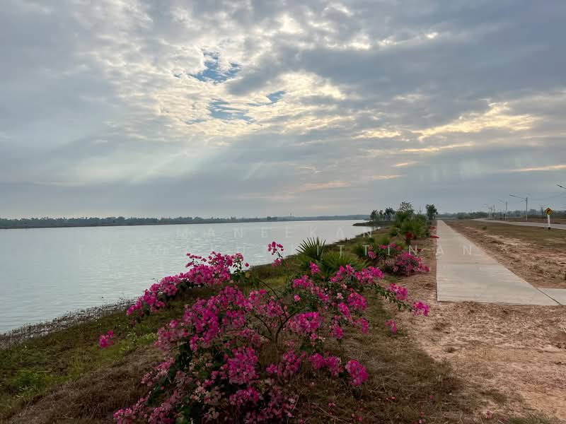 ขาย - ขายดินติดวิวน้ำเมืองหนองคาย, หนองคาย