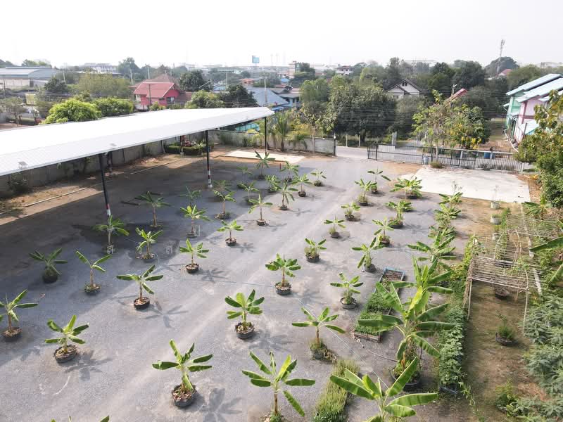 Bang Phun Subdistrict, Mueang District, Pathum Thani Province, Pathum Thani, รังสิต ปทุมธานี, Bang Phun, Muang Pathum Thani, Pathum Thani, , 2,090 sqm, Office Space For Rent, by Parinthida Sawuddisopakaykul, 500168023 - DDproperty.com