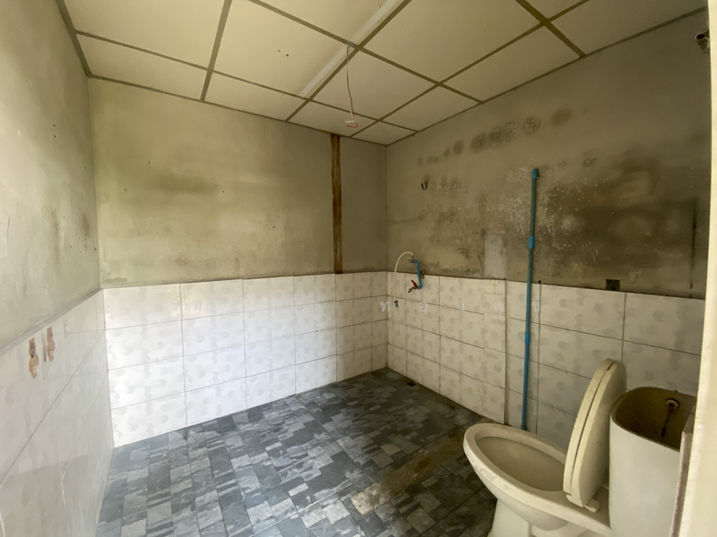 Pridipanomyong 41, Bangkok, สุขุมวิท 71, Khlong Tan Nua, Watthana, Bangkok, 3 Bedrooms, 300 sqm, Single Detached House For Sale, by อมรญา ทองสุข, 500168081 - DDproperty.com