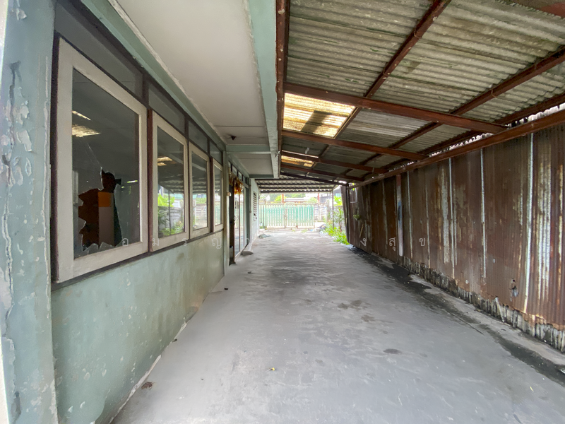 ปรีดีพนมยง 41, กรุงเทพ, สุขุมวิท 71, คลองตันเหนือ, วัฒนา, กรุงเทพ, 300 ตร.ม., บ้านเดี่ยว ขาย, โดย อมรญา ทองสุข, 500168081 - DDproperty.com