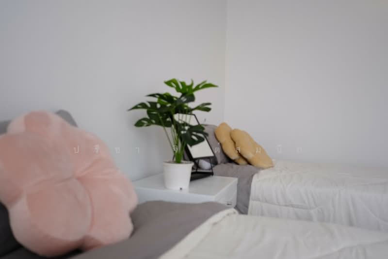 Townhouse 5 bedroom 420 sq m. share swimming pool in Sathorn about 10min walk BTS station, Bangkok, สาทร, Yan Nawa, Sathon, Bangkok, 5 Bedrooms, 420 sqm, Townhouse For Rent, by ปรีชา จิตต์สมนึก, 500168106 - DDproperty.com