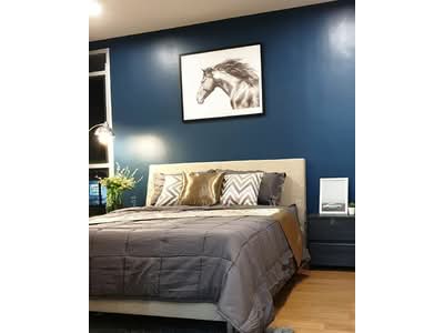 For Rent - The Link Sukhumvit 50, Bangkok